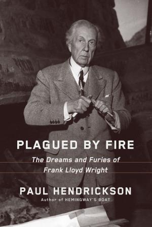 Book cover of Plagued by Fire