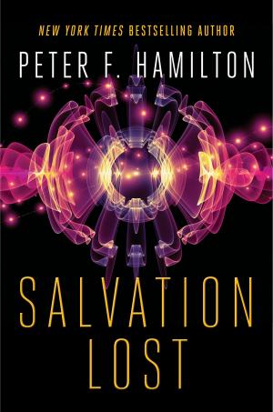 Cover of the book Salvation Lost by Conrad Bishop, Elizabeth Fuller