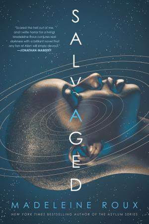Cover of the book Salvaged by Jennifer Ashley
