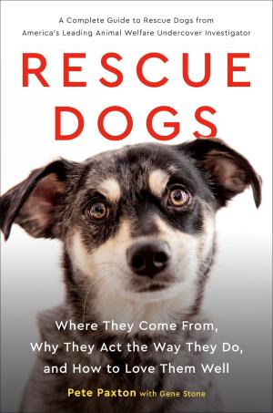 Cover of the book Rescue Dogs by Charles G. West