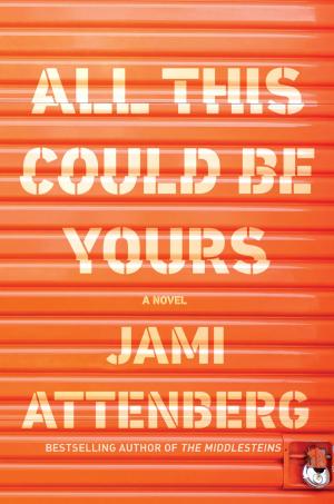 Cover of the book All This Could Be Yours by Jamie Boudreau, James O. Fraioli