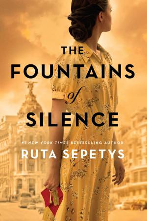 Cover of the book The Fountains of Silence by Meg Rosoff