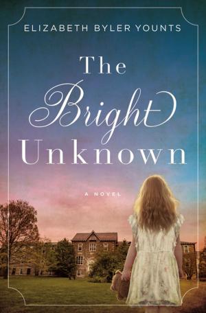 Cover of the book The Bright Unknown by Irma Joubert