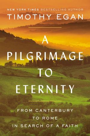 Cover of the book A Pilgrimage to Eternity by Christina Dalcher