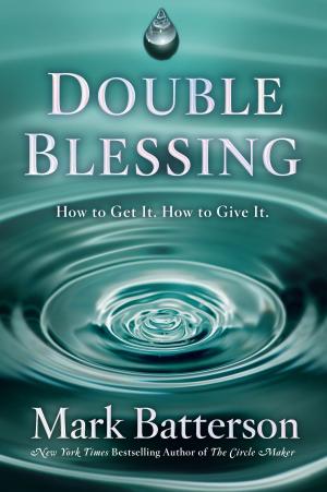 Cover of the book Double Blessing by Lisa Samson