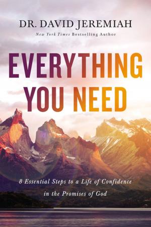 Book cover of Everything You Need