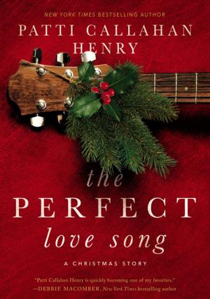 Cover of the book The Perfect Love Song by Seth Brady