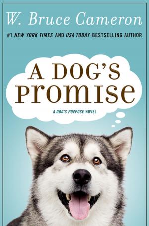 Cover of the book A Dog's Promise by Angela Slatter