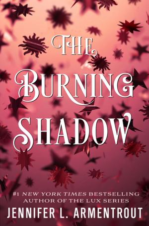 Book cover of The Burning Shadow