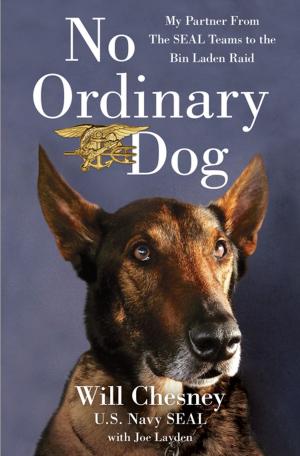 Cover of the book No Ordinary Dog by Anne McTiernan, MD, PhD, Dr. Julie Gralow, MD, Lisa Talbott, MPH