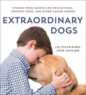 Cover of the book Extraordinary Dogs by Yrsa Sigurdardottir