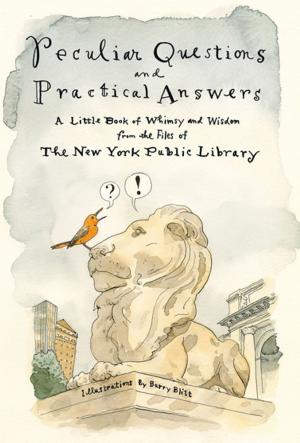 Cover of the book Peculiar Questions and Practical Answers by Lisa Sadleir