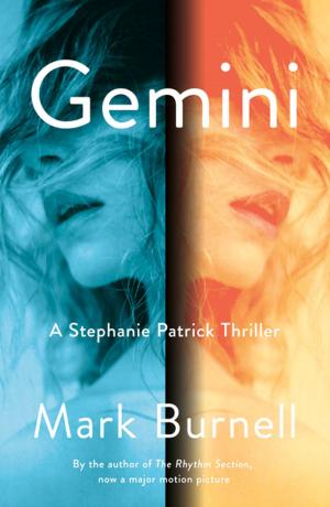 Cover of the book Gemini by J. Fries