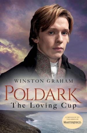 Cover of the book The Loving Cup by Stephen Snyder M.D.