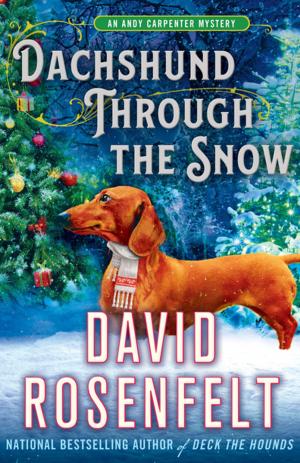 Cover of the book Dachshund Through the Snow by Karen Raugust