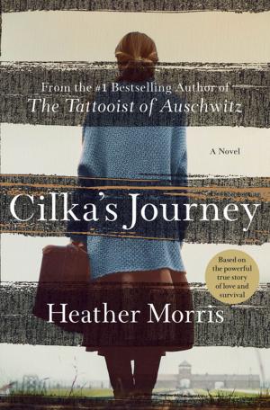 Cover of the book Cilka's Journey by Suzanne Enoch