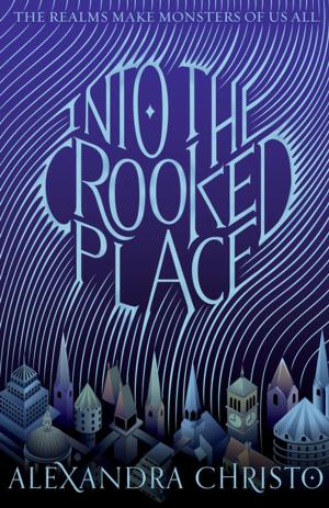 Cover of the book Into the Crooked Place by Chani Lynn Feener