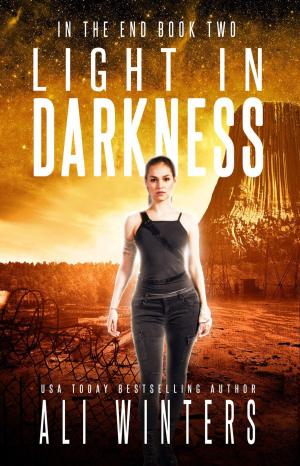 Book cover of Light in Darkness