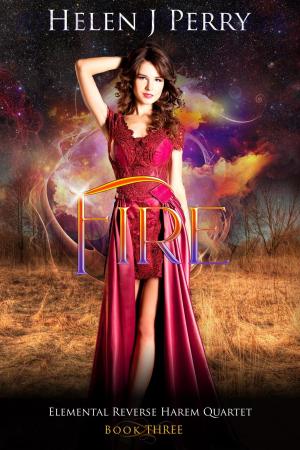 Cover of the book Fire Elemental Reverse Harem Quartet by Angi Morgan