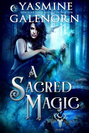 Book cover of A Sacred Magic