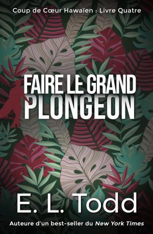 Cover of the book Faire le Grand Plongeon by Zoran Zivkovic, Alice Copple-Tosic