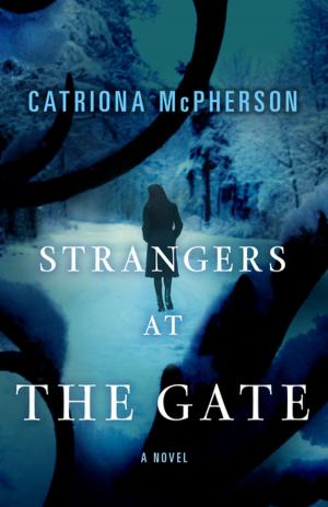 Cover of the book Strangers at the Gate by Elin Hilderbrand