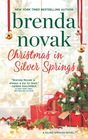 Book cover of Christmas in Silver Springs