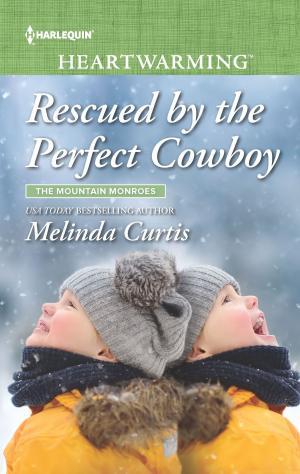 Cover of the book Rescued by the Perfect Cowboy by Leigh Riker