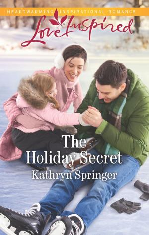 Book cover of The Holiday Secret