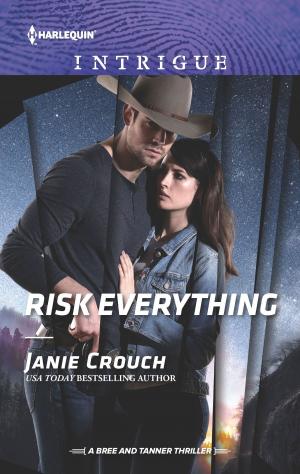 Cover of the book Risk Everything by Robyn Donald
