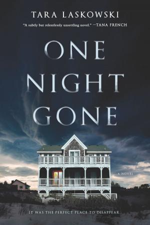 Cover of the book One Night Gone by Emily Belden