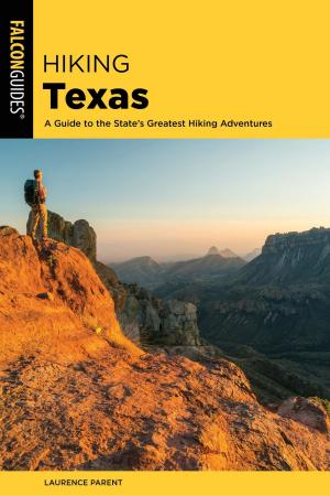 Cover of the book Hiking Texas by Daniel Brett