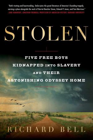 Cover of the book Stolen by Emmanuel Aghado