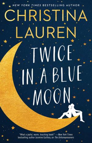 Cover of the book Twice in a Blue Moon by James Salant