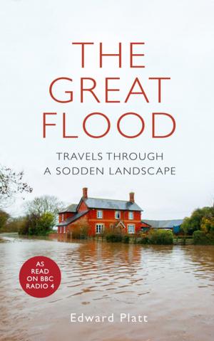 Cover of the book The Great Flood by Alloma Gilbert