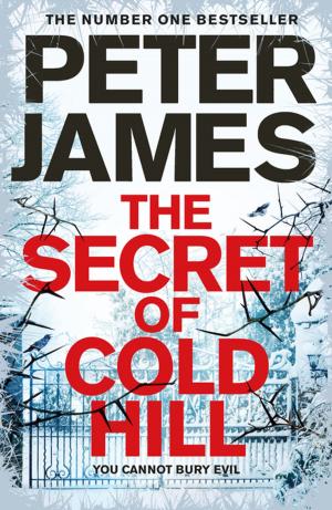 bigCover of the book The Secret of Cold Hill by 