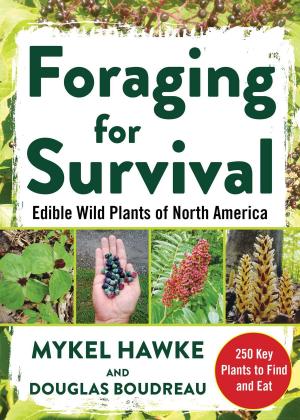 Cover of the book Foraging for Survival by Roger Stone