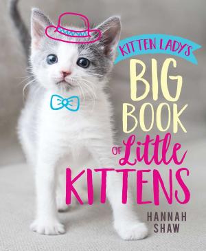 Book cover of Kitten Lady's Big Book of Little Kittens