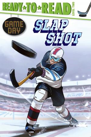 Cover of the book Slap Shot by David Lewman