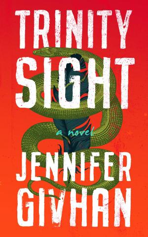 Cover of the book Trinity Sight by James Lincoln Collier, Christopher Collier