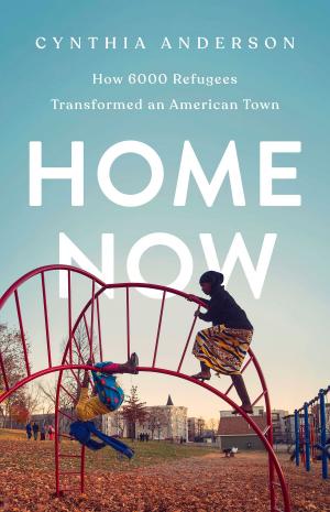Book cover of Home Now