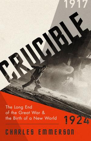 Cover of the book Crucible by Eric Fettmann, Steven Lomazow