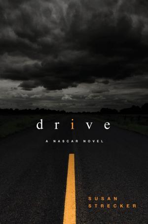 Cover of the book d r i v e by John Agostinelli, Christopher Michaud