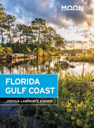 Cover of the book Moon Florida Gulf Coast by Andy Steves