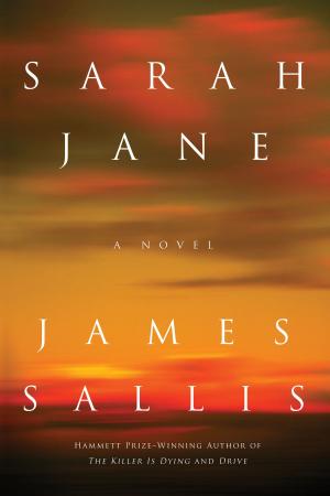 Cover of the book Sarah Jane by Janwillem van de Wetering