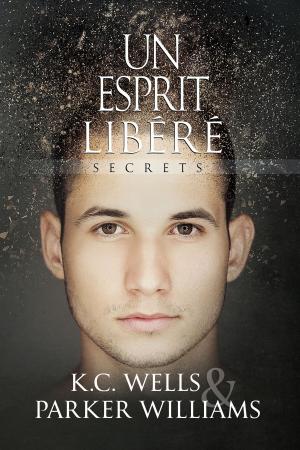 Cover of the book Un esprit libéré by May Freighter