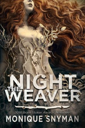 Cover of the book The Night Weaver by Julieanne Lynch