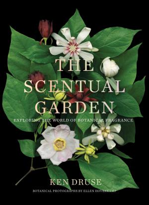 Cover of the book The Scentual Garden by Erica S. Perl