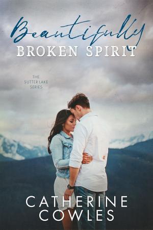 Book cover of Beautifully Broken Spirit