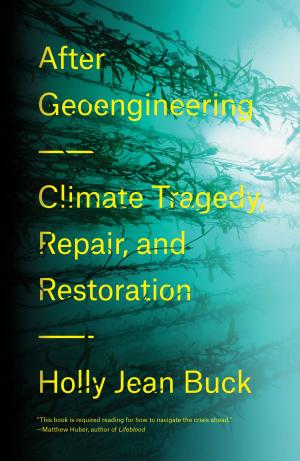 Cover of the book After Geoengineering by David Houle, Tim Rumage